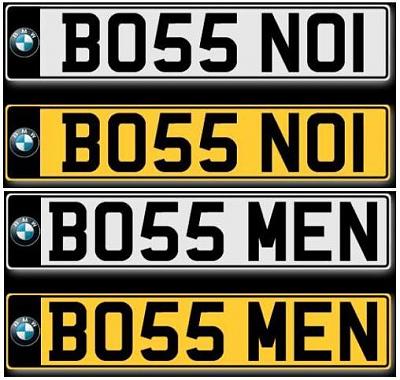 BOSS Number/Licence Plates-untitled.jpg