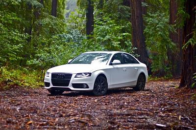 2009 Audi 2.0T A4 Premium Plus Quattro - 500-redwood.jpg