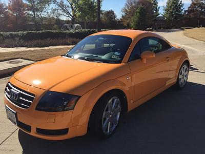 2005 TT RARE Papaya Orange-img_0426.jpg