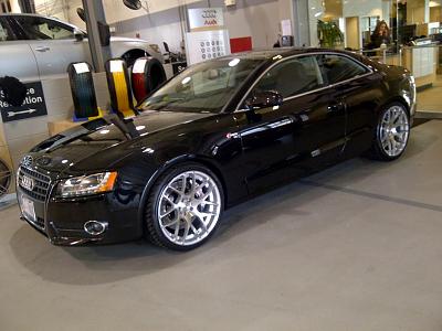 2011 Audi A5 Stasis Package-img_0255.jpg