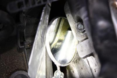 Persistent oil leak: redux-img_6868.jpg