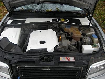 what color intake runners with white engine cover ?&gt;?-img_0001.jpg