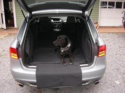 A4 Avant Cargo Space Cover-imgp0602.jpg