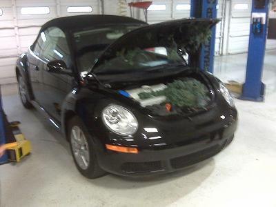 2009 Beetle with Squirrel Infestation Package-img00027.jpg