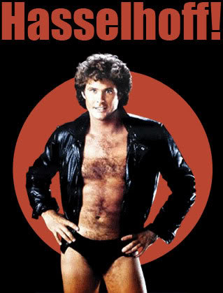 Name:  hasselhoff.jpg
Views: 17
Size:  27.7 KB