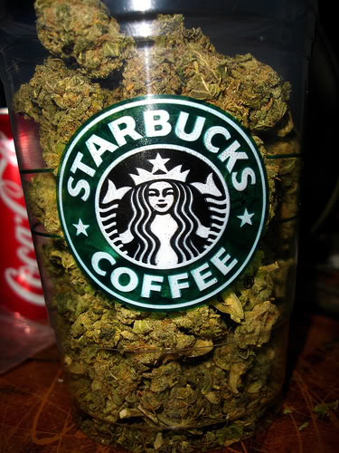 Name:  starbucks-weed.jpg
Views: 14
Size:  68.4 KB