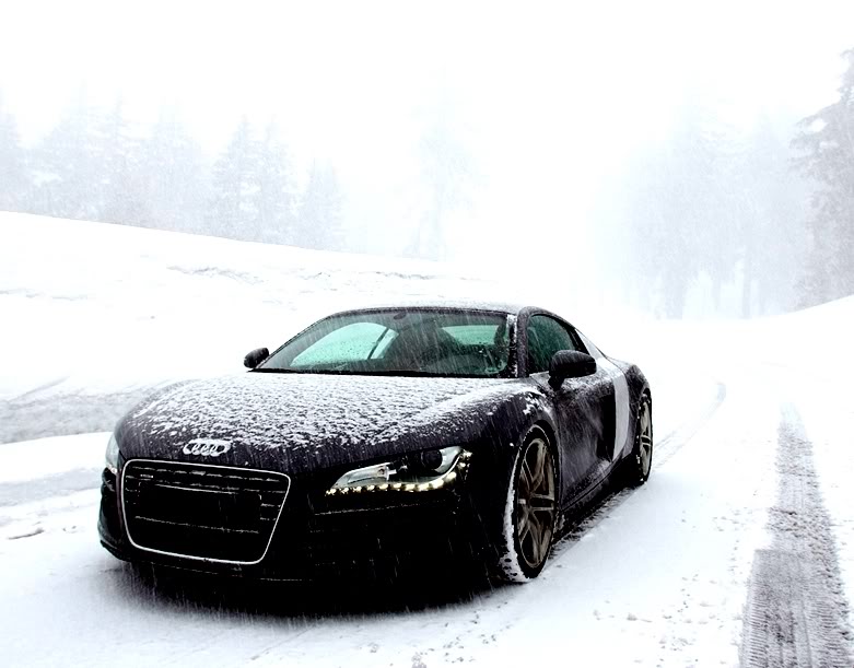 Name:  112_0707_08wm2008_audi_r8front_thre.jpg
Views: 80
Size:  65.0 KB