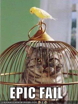 Name:  Funny-pictures-bird-cat-cage.jpg
Views: 14
Size:  23.6 KB