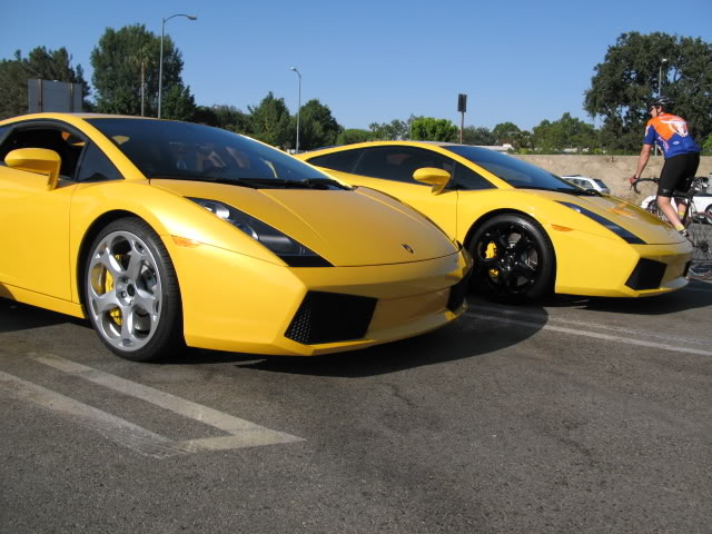 Name:  exoticcarmeet034.jpg
Views: 17
Size:  73.7 KB